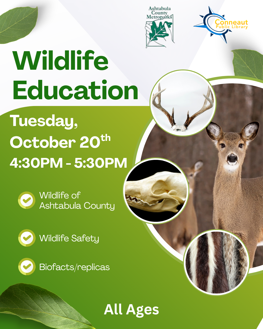 wildlife education flyer